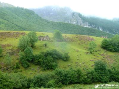 Corazón de Picos de Europa;lavanda brihuega ulaca manchuela ruta del rio borosa viajes originales c